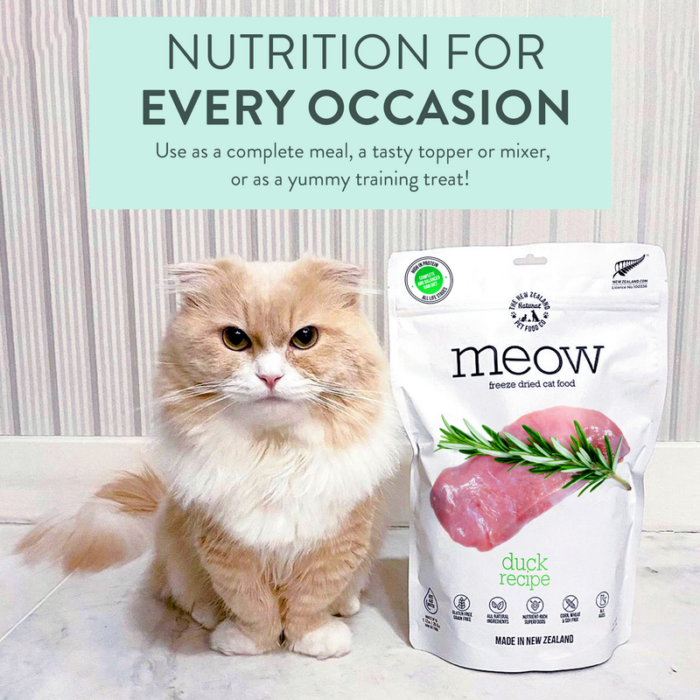 MEOW Duck 50gm - Image 3