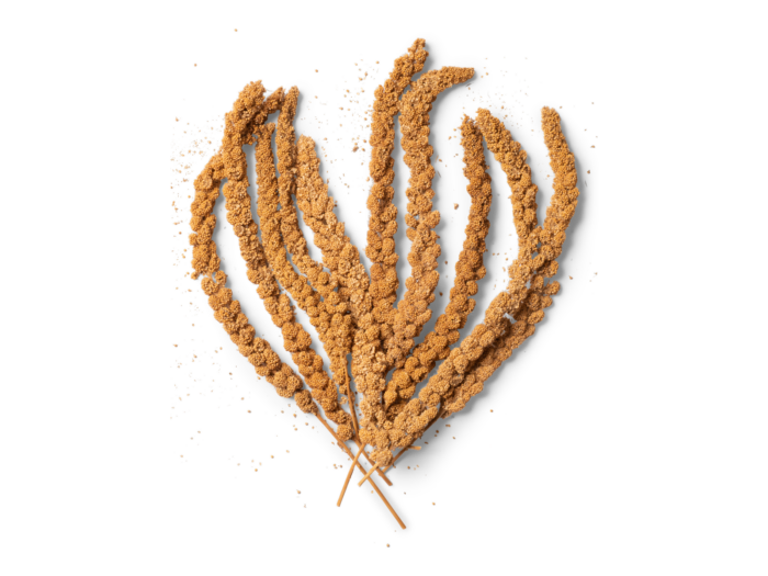 Topflite Millet Spray - 10 Pack - Image 2