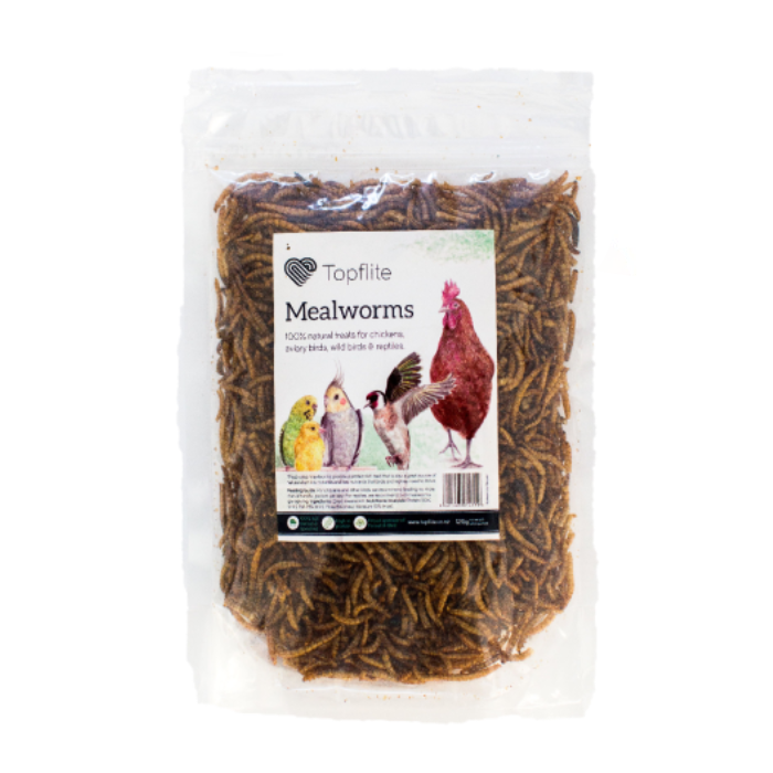 Dried Mealworms 125gm Pet Essentials Rototuna Hamilton