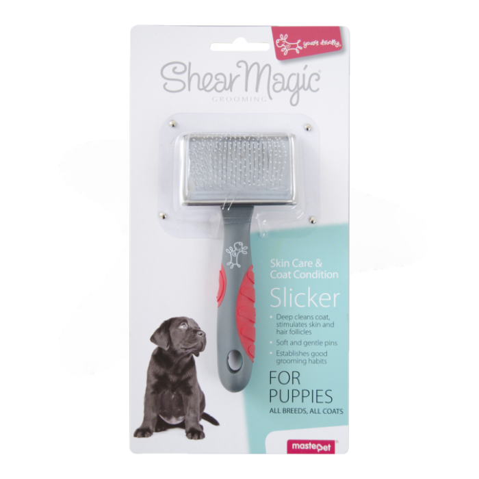 magic brush for dogs