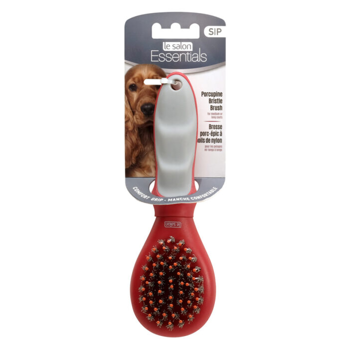 Le Salon Porcupine Bristle Brush