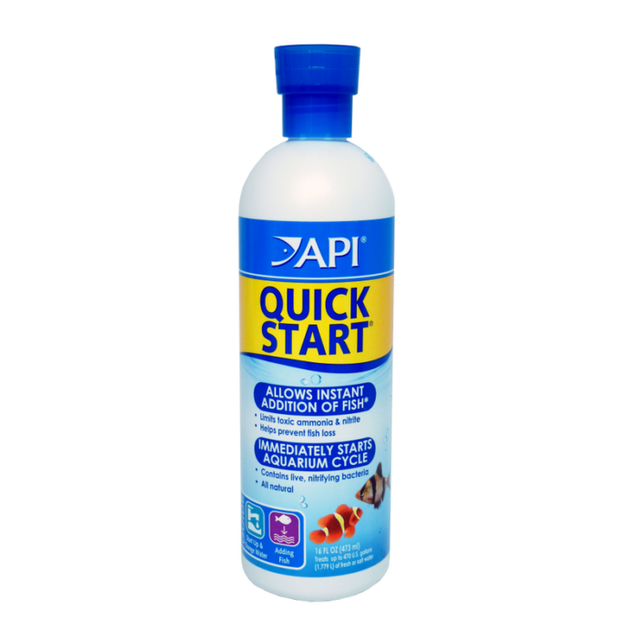 API Quickstart