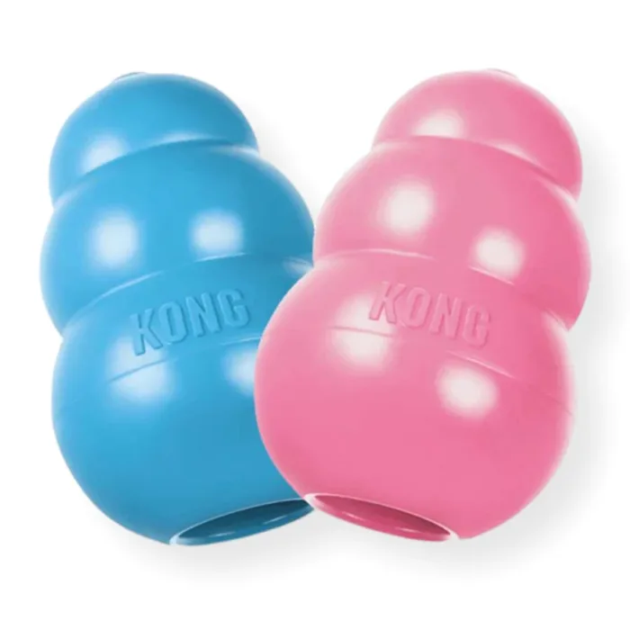Kong Puppy