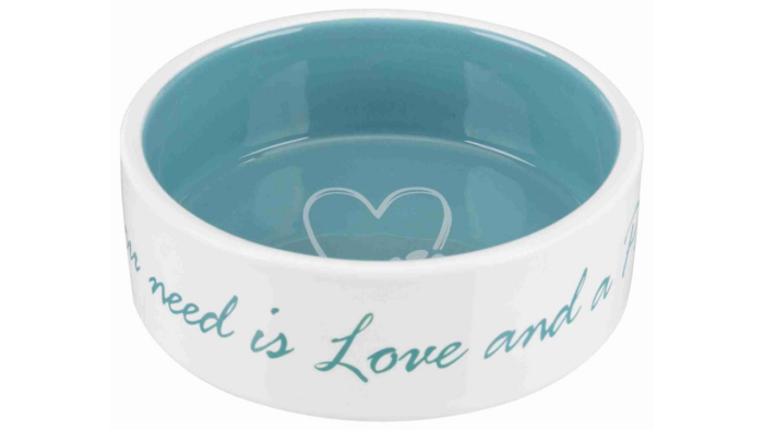 Pet's Home Ceramic Bowl- Teal