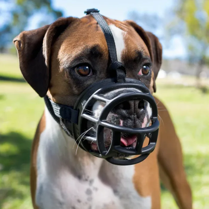 Baskerville Ultra Muzzle - Image 2