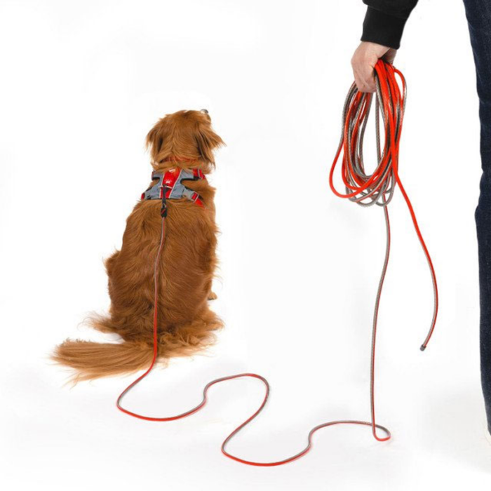 EzyDog Slimline Track n Train Longline 10m - Image 2