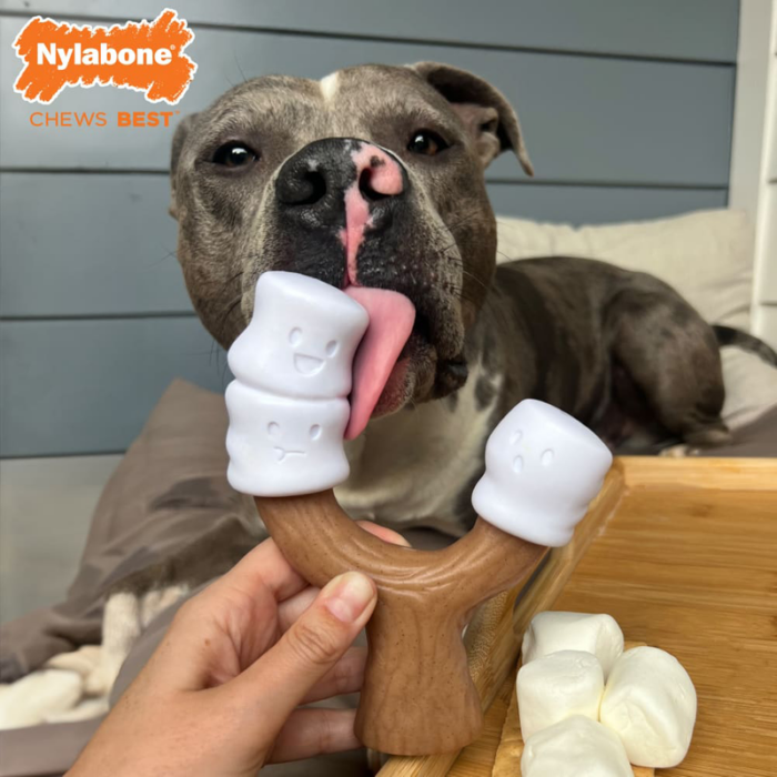 Nylabone Marshmallow Stick - Image 2