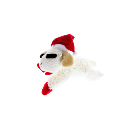 Pet essentials rototuna online