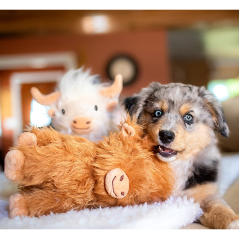 Shaggy Highland Cow Plush - Image 3