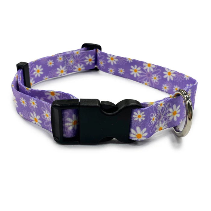 Perri's Daisy Purple Collar