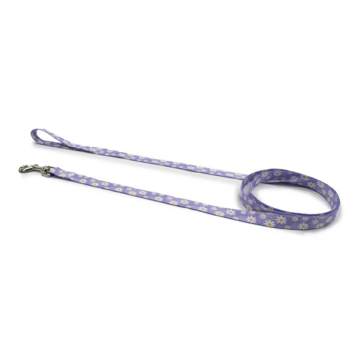 Perri's Daisy Purple Lead 183cm