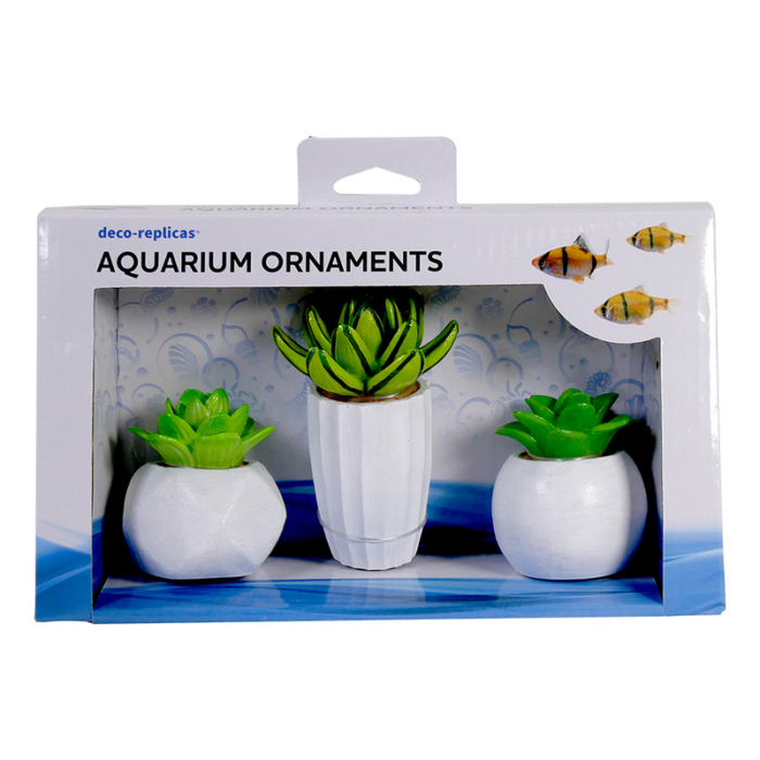Succulent Resin Kit 3 Piece